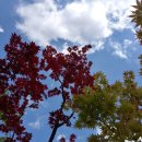 글벗작은도서관 이미지