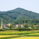 목천읍 서흥리 118-2 네이버블로그