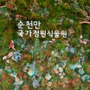 경천식물원 이미지