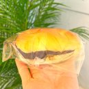 지지피 소프트 | 서울 빵지순례 혜화 디저트 맛집 샤뽀블랑 베이커리 카페 성신여대 빵집 성북천 데이트 추천