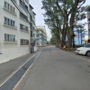 신생훼밀리 이미지