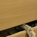 제주기억 이미지