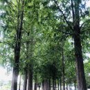 율하체육공원 잔디광장 이미지