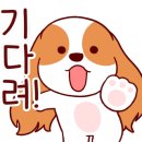 상동1천 이미지
