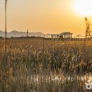 다대포해수욕장 이미지