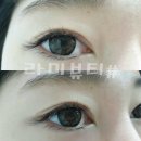 라미속눈썹