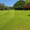 한일골프장 이미지