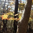 송광사성보박물관 | 순천 가볼만한곳 유명한절 송광사 가을 단풍 명소