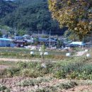 금평축산 이미지