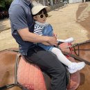 인준목장 | 아기랑 제주도 3박 4일 두돌여행 (3) 스누피가든 / 옛날 팥죽 / 밭디카페 / 살찐고등어 돈까스