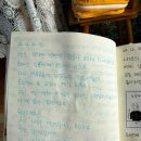 stay 공위 이미지