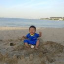 민캠프 이미지