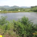 대종1리 이미지