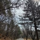 (주)리얼미디어웍스 | 강화도 마니산 참성단 코스｜끝없는 계단 등반 리얼 후기 하산 후 마니산 카페까지