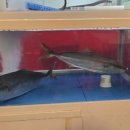 굿모닝회수산 이미지