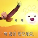 서울빈 이미지