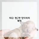 맛있는 세계여행 이미지