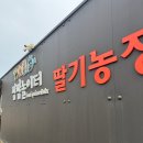 팜팜농장 | 용인 딸기체험 팜팜놀이터 딸기농장 20개월아기 후기