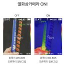 투윙스 | 파크골프, 장비 하나로 달라질 수 있습니다. 박프로 휴리스 파크골프 장비후기