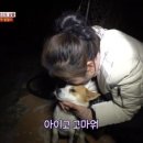 은인농장 이미지