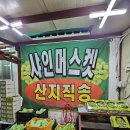 샤인농장 네이버블로그