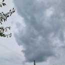 향양리체육공원 | [일상][23.9.3.SUN] 오늘의 운동일지