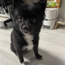 저단22 이미지