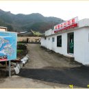 사량초등학교돈지분교장 이미지