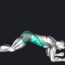 카프리짐 이미지