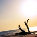 태평목장 이미지