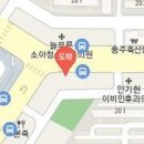 백성흠정형외과의원 티스토리