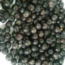 기화농장 이미지