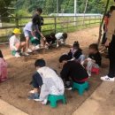 원주 법천사지 유적전시관 이미지
