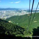 정산카 이미지