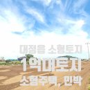 신도리민박 이미지