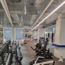 화이트사인 이미지