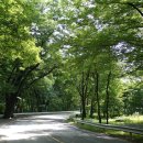 생명과 공존의 숲( 이미지