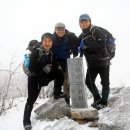 (유)정선 이미지