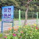 하얀천국 | 🌊 프라이빗한 힐링 천국, 서천독채펜션 서천하얀펜션에서 만난 완벽한 서천펜션 여행 후기