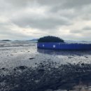 새운농장 이미지