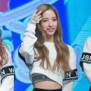 보나 이미지