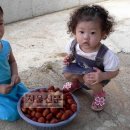 금정의 메아리 이미지