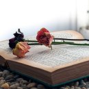 Groom Broom 이미지