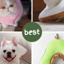 해리스힐 이미지