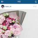 네뜨르