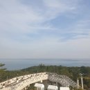 장안힐링투어