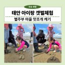 태안별주부마을 | 태안 별주부마을 갯벌체험 후기 | 아이와 맛조개 잡는 법 &amp; 준비물, 주차꿀팁 총정리