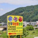 진부농장 이미지