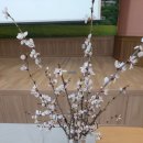 3.26.목.천도제, 농업기술센터 수업 이미지