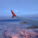 영난농장 | [공지] 발리 여행 후기1 | 절대 이 이상 하지 마세요 개힘듬. 제주 항공 새벽 도착, 우붓 지프 투어...